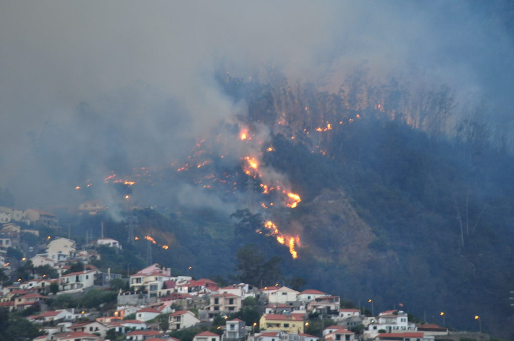 Funchal - pożar6